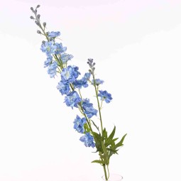 Delphinium in stelo 79 cm - Vari Colori - Azzurro