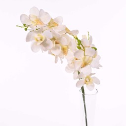Orchidea dendrobium con tre rami 69 cm in vari colori - Bianco