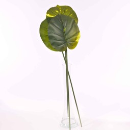 Pothos in confezione da 3 foglie- verde/giallo