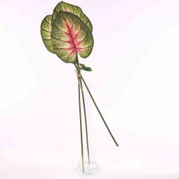 Alocasia Set 3 foglie - verde/rosso