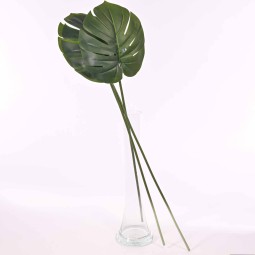 Monstera Set da 3 foglie - verde