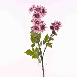 Margherite in mazzo con 3 steli ramificati in vari colori - Bianco/Rosa