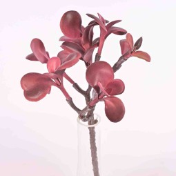 Pianta grassa in ramo - 28 Cm in due colori - Rosa