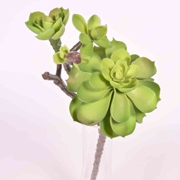 Pianta grassa in ramo - 22 Cm in tre colori - verde chiaro