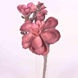 Pianta grassa in ramo - 22 Cm in tre colori - Rosso