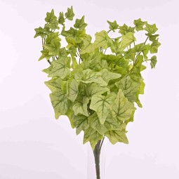 Edera in mazzo - 40 Cm di 14 steli - Verde