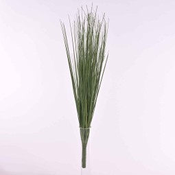 Penniseto 60 cm verde