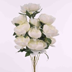 Peonie in mazzo frontale con 10 fiori in vari colori - Bianco