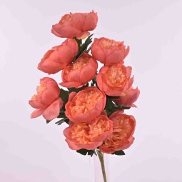 Peonie in mazzo frontale con 10 fiori in vari color - Salmone