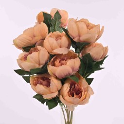 Peonie in mazzo frontale con 10 fiori in vari color - Beige