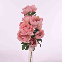 Peonie in mazzo frontale con 10 fiori in vari color - Malva