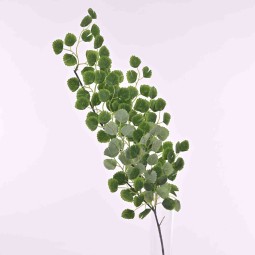 Capelvenere in ramo - 65 Cm verde