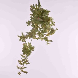 Pelargonium in mazzo cadente 85 CM Verde