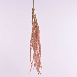 Amaranto ramificato in  ramo  cadente - vari colori - Malva