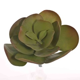 Pianta grassa in ramo singolo altezza 32 cm. larghezza 30 cm in vari colori - Verde