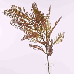 Felce con varie ramificazioni ed in diversi colori e altezze - Bordeaux