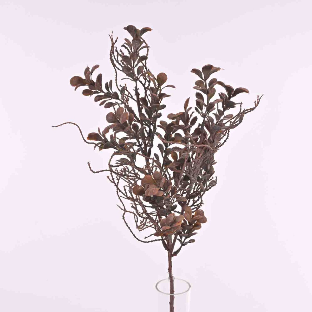 Eucalipto in ramo con tre steli in due colori - Rosa