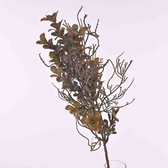 Eucalipto in ramo con tre steli in due colori - Rosa