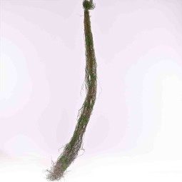 Ghirlanda Jungle Musk -130Cm - Verde