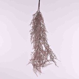 Asparagus in mazzo cadente da cm. 65 - VIola