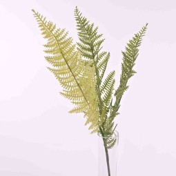 Felce verde chiaro a tre rami