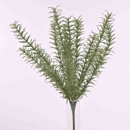 Rosmarino in mazzo con 12 steli in colore verde