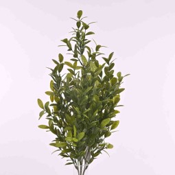 Boxwood ramificato 55 Cm - Verde