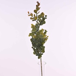 Eucalipto ramificato - 65 Cm  a tre rami - Verde