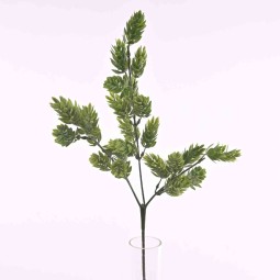 Luppolo in ramo - 64 Cm colore verde