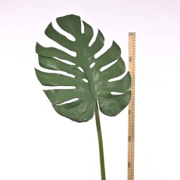 Monstera in foglia - 110 Cm verde