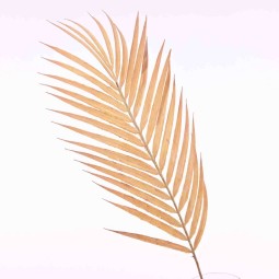 Felce in ramo 80 Cm in vari color - Pesca