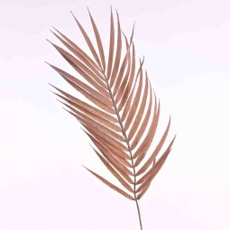 Felce in ramo 80 Cm in vari color - Rosa