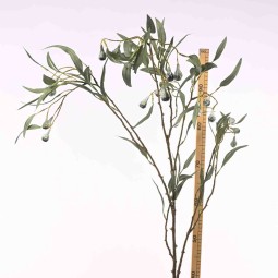 Eucalipto - 122 Cm  con 6 rami verde variegato