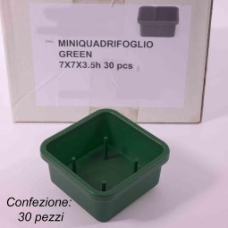 Ciotola porta spugna "Miniquadrifoglio" 30 Pezzi - 7x7x3,5 Cm / Verde