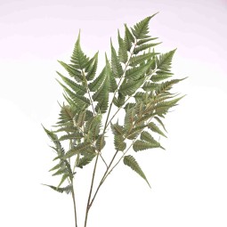 Felce in tralcio - 122 Cm verde