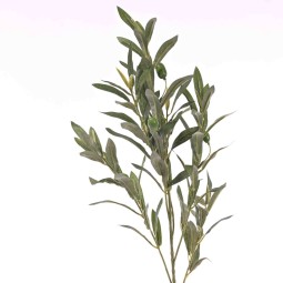 Ulivo in tralcio - 93 Cm disponbile in due colori