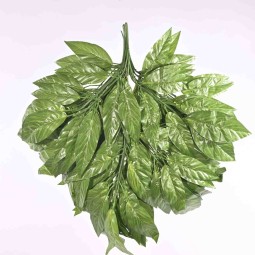 Fogliaggio di Maranta - 60 Cm / Verde