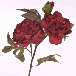 PEONIA Stelo x3 - 46 Cm  in vari colori -Rosso
