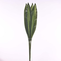 Rami di foglie di Dracaena -confezione da  6 pezzi