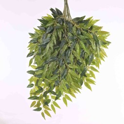 Fogliaggio di Ruscus ogni ramo ha 5 steli confezione da  12 Pezzi