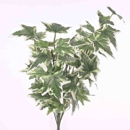 Mazzo di Edera - 38 Cm - variegato