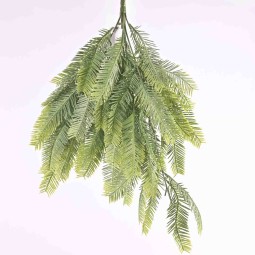 Mimosa verde in Mazzo con 8 ramificazioni - 63 Cm