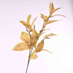 Photinia in ramo da cm. 100  - Giallo