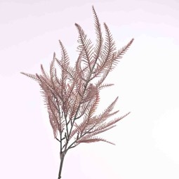 Felce con varie ramificazioni ed in diversi colori e altezze - Rosa