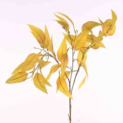 Eucalipto a foglia gialla con tre rami  - 83 CM