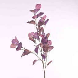 Eucalipto ramificato in ramo - 100 Cm in vari colori - Viola