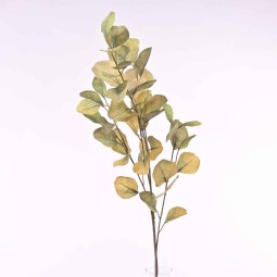 Eucalipto ramificato in ramo - 100 Cm in vari colori -Verde