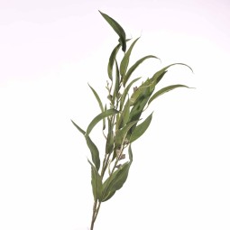 Eucalipto ramificato - 90 Cm  verde