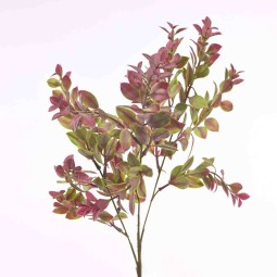 Bosso ramificato - 70 Cm con tre steli in diversi colori - Rosso