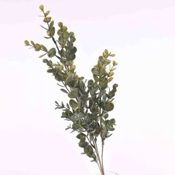 Eucalipto ramificato - 65 Cm ghiacciato